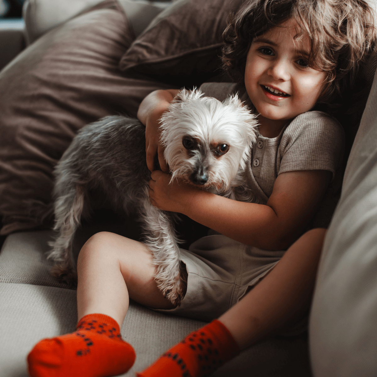 Merino wool ankle socks rust child nz aus