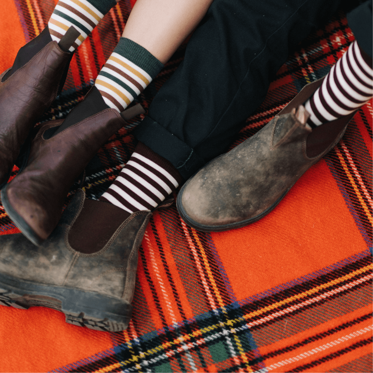 mens merino wool crew socks maroon and natural striped nz